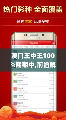 新澳门王中王100%期期中,精选解释解析落实